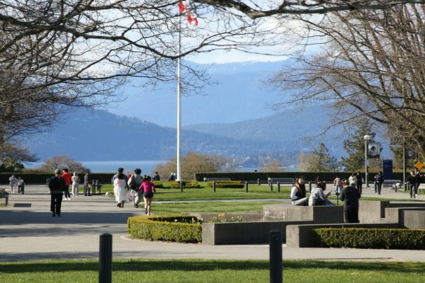 Canada Faces Sharp Decline in International Student