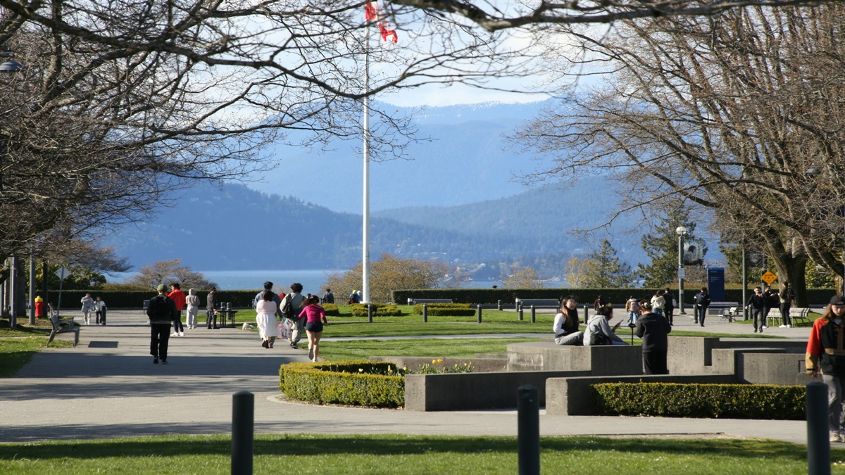 Canada Faces Sharp Decline in International Student