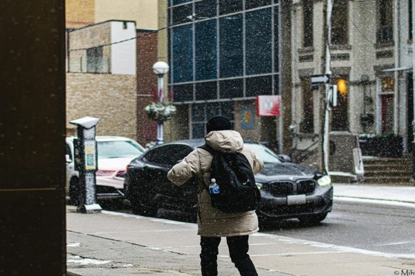 International Student Safety